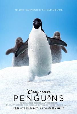 超极企鹅动画片