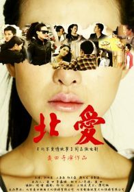 北京爱情故事电影免费在线观看