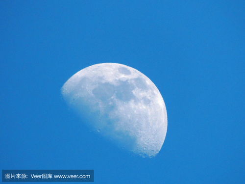 http://cn7.ad101.moon